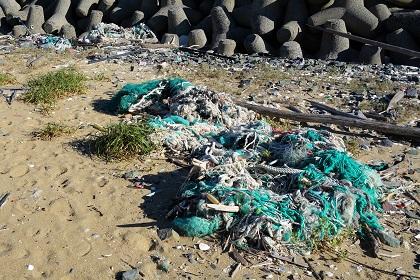 砂浜のプラスチックごみ採取(漁網、容器、ペットボトル、カップ、ストローなど)